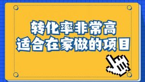 小红书虚拟电商项目:从小白到精英(视频课程+交付手册)-阳知网创资源库