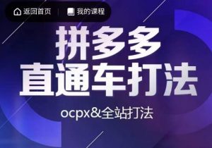 互力·拼多多直通车打法,ocpx&全站打法-阳知网创资源库