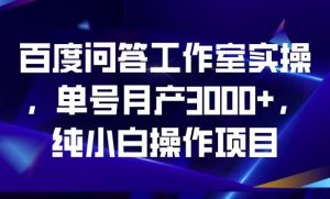 百度问答工作室实操,单号月产3000+,纯小白操作项目【揭秘】-阳知网创资源库