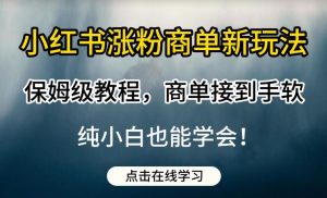 小红书涨粉商单新玩法,保姆级教程,商单接到手软,纯小白也能学会【揭秘】-阳知网创资源库