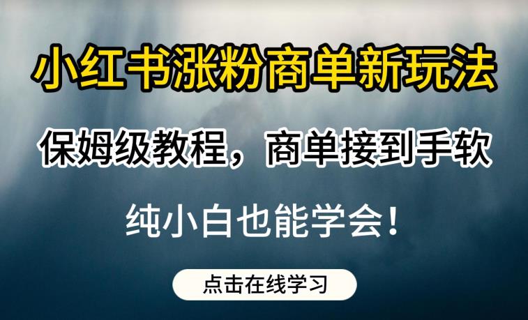 小红书涨粉商单新玩法,保姆级教程,商单接到手软,纯小白也能学会【揭秘】-阳知网创资源库