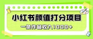 最新蓝海项目,小红书颜值打分项目,一条作品收入1000+【揭秘】-阳知网创资源库