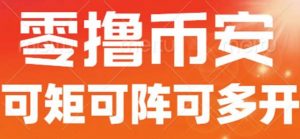 最新国外零撸小项目，目前单窗口一天可撸10+【详细玩法教程】【揭秘】-阳知网创资源库