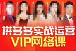 推易拼多多VIP全套直播课程,拼多多店铺实操玩法+实战玩法选款内功+直通车高阶等-阳知网创资源库