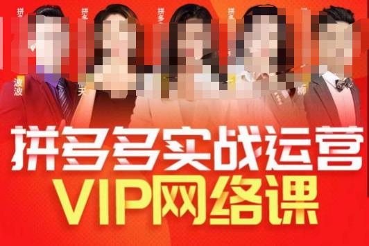 推易拼多多VIP全套直播课程,拼多多店铺实操玩法+实战玩法选款内功+直通车高阶等-阳知网创资源库