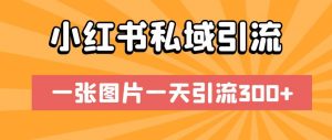 小红书私域引流,一张图片一天引流300+【揭秘】-阳知网创资源库