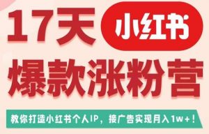 17天小红书爆款涨粉营（广告变现方向），教你打造小红书博主IP、接广告变现的-阳知网创资源库
