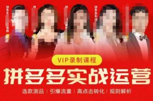 2023推易拼多多实战运营，选款测品、引爆流量、高点击转化、规则解析-阳知网创资源库