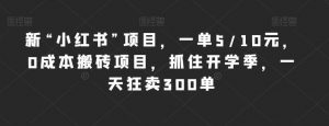 新“小红书”项目,一单5/10元,0成本搬砖项目,抓住开学季,一天狂卖300单【揭秘】-阳知网创资源库