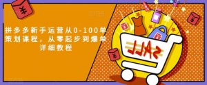 拼多多新手运营从0-100单策划课程,从零起步到爆单详细教程-阳知网创资源库