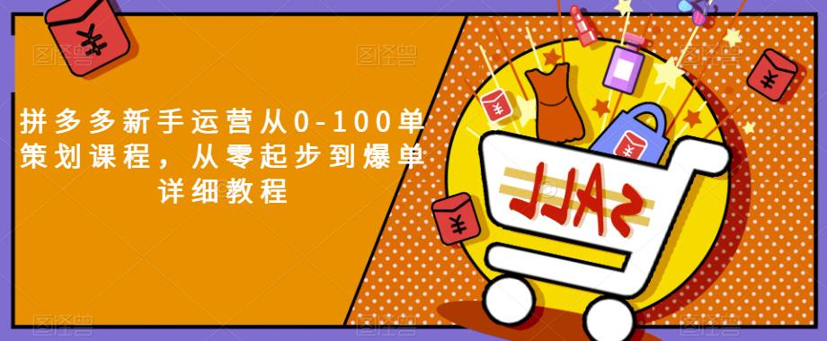 拼多多新手运营从0-100单策划课程,从零起步到爆单详细教程-阳知网创资源库