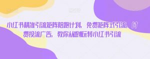 小红书精准引流矩阵陪跑计划,免费矩阵式引流,付费投流广告,教你从0到1玩转小红书引流-阳知网创资源库