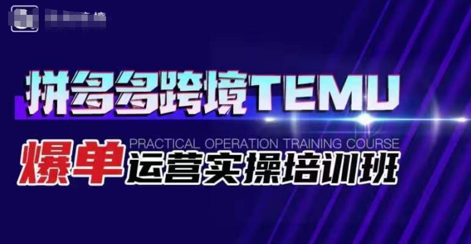 拼多多跨境TEMU爆单运营实操培训班,海外拼多多的选品、运营、爆单-阳知网创资源库