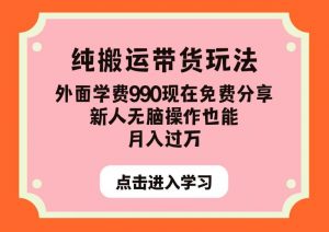 纯搬运带货玩法,外面学费990现在免费分享,新人无脑操作也能月入过万【揭秘】-阳知网创资源库