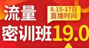 秋秋线上流量密训班19.0,打通流量关卡,线上也能实战流量破局-阳知网创资源库