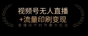 全网首发视频号不封号无人直播暴利玩法+流量印刷机变现,日入1000+【揭秘】-阳知网创资源库