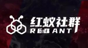 社群运营:红蚁社群【48节落地系统课程+2000人高端社群】-阳知网创资源库
