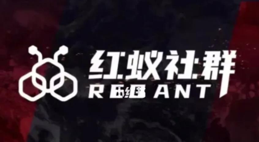 社群运营:红蚁社群【48节落地系统课程+2000人高端社群】-阳知网创资源库