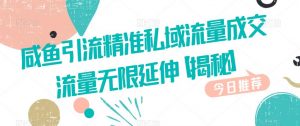 咸鱼引流精准私域流量成交流量无限延伸【揭秘】-阳知网创资源库