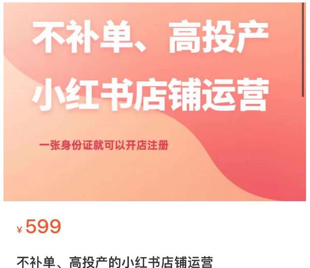 不补单、高投产的小红书店铺运营,一张身份证就可以开店注册-阳知网创资源库