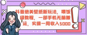 抖音绝美壁纸新玩法，喂饭级教程，一部手机无脑搬运，实操一周收入5000【揭秘】-阳知网创资源库