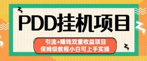拼多多挂机项目引流+赚钱双重收益项目(保姆级教程小白可上手实操)【揭秘】-阳知网创资源库