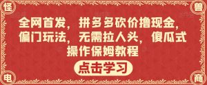 全网首发,拼多多砍价撸现金,偏门玩法,无需拉人头,傻瓜式操作保姆教程【揭秘】-阳知网创资源库