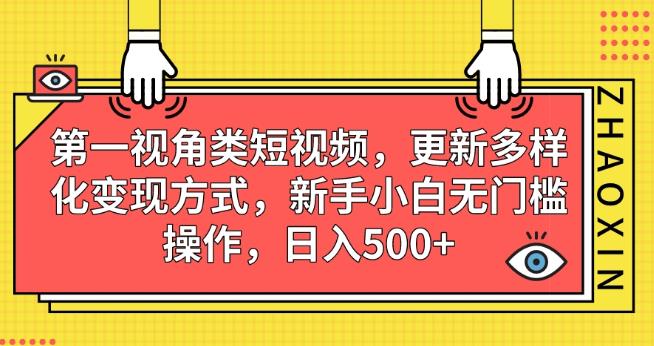 第一视角类短视频，更新多样化变现方式，新手小白无门槛操作，日入500+【揭秘】-阳知网创资源库