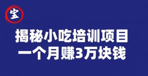 宝哥揭秘小吃培训项目,利润非常很可观,一个月赚3万块钱-阳知网创资源库