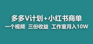 【蓝海项目】多多v计划+小红书商单一个视频三份收益工作室月入10w-阳知网创资源库