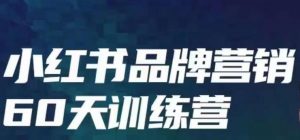 小红书品牌60天训练营第6期,GMV2亿级品牌老板都在学,教会你内容营销底层逻辑-阳知网创资源库