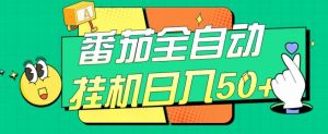 番茄全自动挂机日入50+，软件全自动，多号破百【揭秘】-阳知网创资源库