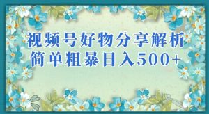 视频号好物分享解析，简单粗暴可以批量方大的项目【揭秘】-阳知网创资源库