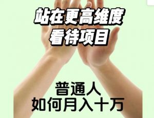 2023最火项目:站在更高维度看待项目,普通人如何月入十万【揭秘】-阳知网创资源库