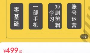 短剧另类新赛道剪辑解说课萱萱实操班(29节)-阳知网创资源库