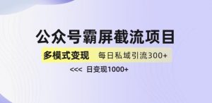 公众号霸屏截流项目+私域多渠道变现玩法,全网首发,日入1000+【揭秘】-阳知网创资源库
