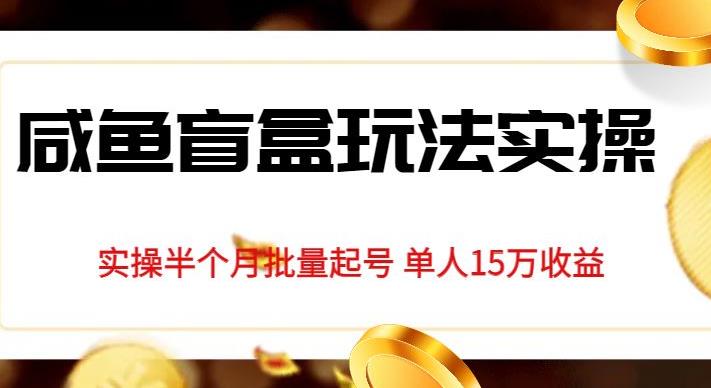 独家首发咸鱼盲盒玩法实操，半个月批量起号单人15万收益【揭秘】-阳知网创资源库