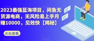 2023最强蓝海项目,闲鱼无货源电商,无风险易上手月赚10000,见效快【揭秘】-阳知网创资源库