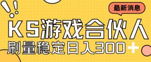 快手游戏合伙人新项目,新手小白也可日入300+,工作室可大量跑-阳知网创资源库