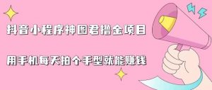 抖音小程序神图君撸金项目,用手机每天拍个手型挂载一下小程序就能赚钱【揭秘】-阳知网创资源库