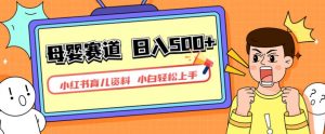小红书育儿资料,一部手机可操作,多种变现方式,日入500+,私域变现,长期可持续项目【揭秘】-阳知网创资源库