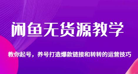 闲鱼无货源教学，教你起号，养号打造爆款链接以及转转的运营技巧-阳知网创资源库