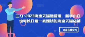 三刀·2023淘宝天猫运营班，新手小白也可以打造一家赚钱的淘宝天猫店铺-阳知网创资源库