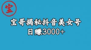 宝哥揭秘抖音美女号玩法，日赚3000+【揭秘】-阳知网创资源库