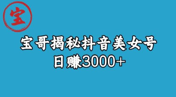 宝哥揭秘抖音美女号玩法，日赚3000+【揭秘】-阳知网创资源库