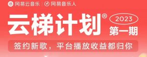 2023年8月份网易云最新独家挂机技术,真正实现挂机月入5000【揭秘】-阳知网创资源库