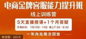 电商金牌客服能力提升班,提升客服能力是你店铺业绩的关键要素-阳知网创资源库