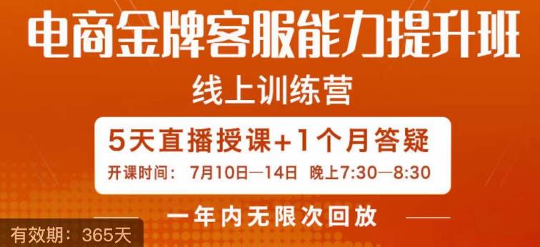 电商金牌客服能力提升班,提升客服能力是你店铺业绩的关键要素-阳知网创资源库