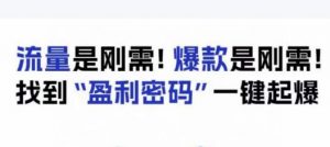 电商盈利精品课:6大盈利密码让产品更好卖,流量是刚需!爆款是刚需!找到”盈利密码”一键起爆-阳知网创资源库