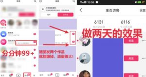 全网首发,日引500+男粉美女视频四开屏玩法,发一个爆一个【揭秘】-阳知网创资源库